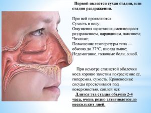 Сухая слизистая носа: причины и лечение
