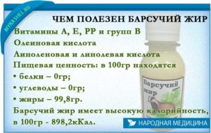 Барсучий жир от кашля детям: назначение, рецепты приготовления и лечение