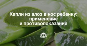 Капли в нос из алоэ: лучшие рецепты и правила применения