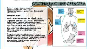 Медикаментозное и народное сильное отхаркивающее средство