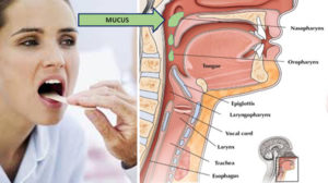 Причины возникновения мокроты в горле и эффективные методы лечения