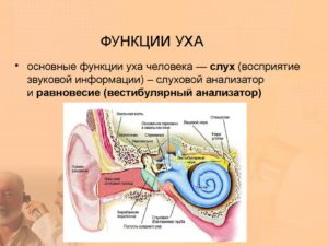 Функции среднего уха и возможные заболевания