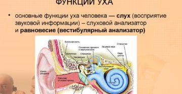 Функции среднего уха и возможные заболевания