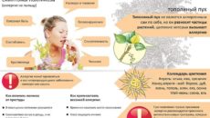 Как лечить аллергический кашель у взрослых: лучшие медикаментозные и народные методы