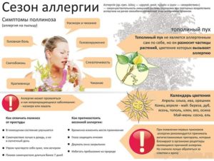 Как лечить аллергический кашель у взрослых: лучшие медикаментозные и народные методы