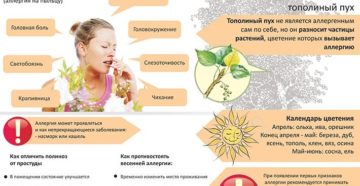 Как лечить аллергический кашель у взрослых: лучшие медикаментозные и народные методы