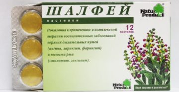 Шалфей детям от кашля: эффективные рецепты и особенности применения