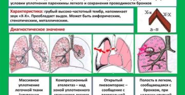 Свистящее дыхание: физиологические и патологические причины