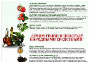 Народные средства от простуды для детей: жаропонижающие, от насморка и кашля